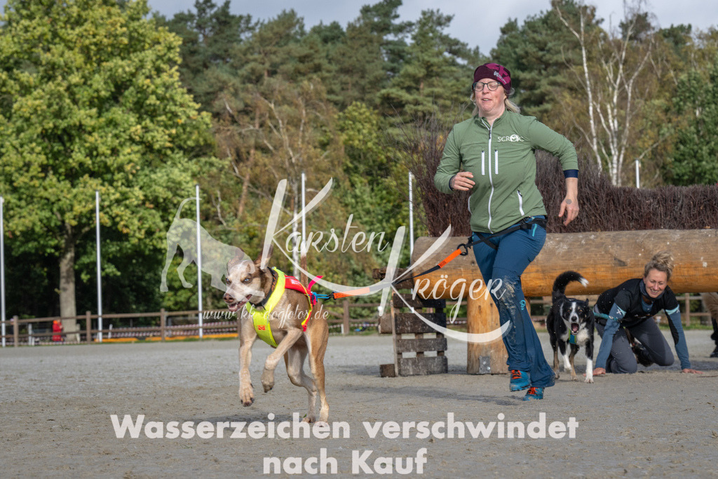 1122-94163 | kk-dogfotos