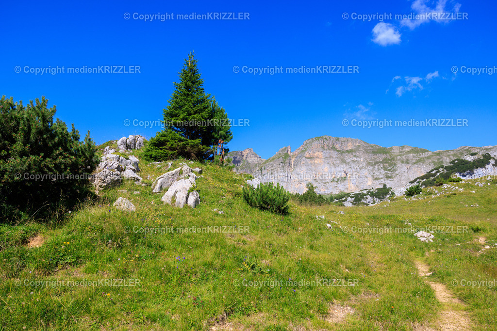 _J3A8213 | medienkrizzler - Realisiert mit Pictrs.com