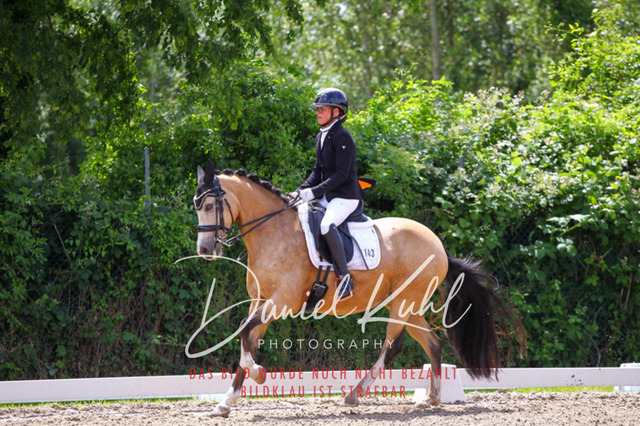 DKP40933 | Turnierfotos kaufen im Webshop von Daniel Kuhl Photography – entdecke professionelle Reitsportfotos aus Turnieren & Events. Hochwertige Turnierbilder online bestellen & sichern. Jetzt Fotos von Reitsportturnieren kaufen!