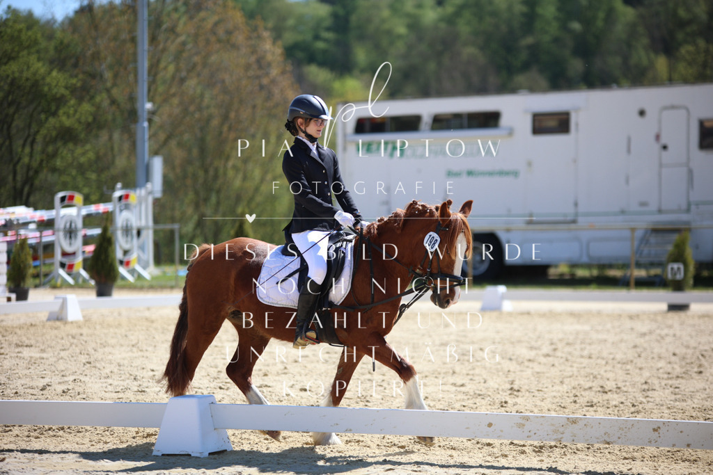 IMGT0591 | pl-fotografie