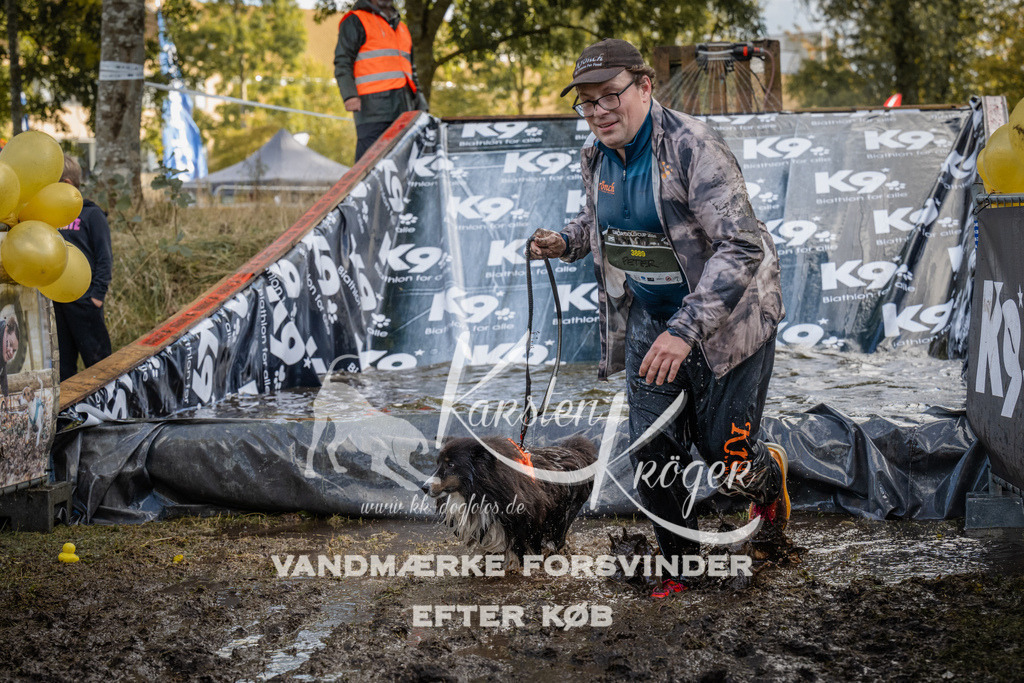 1538_ZZ90299 | kk-dogfotos