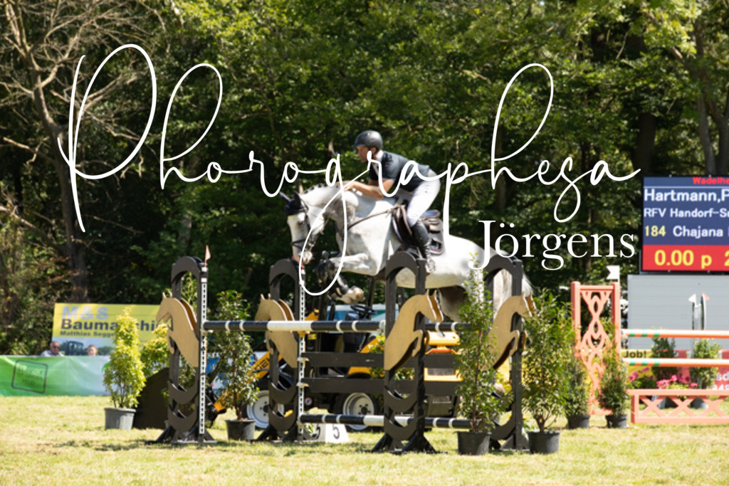 IMG_9146 | photographesa-joergens - Realisiert mit Pictrs.com