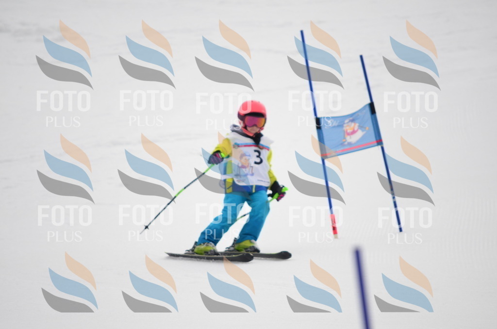 B9906 | holidayphoto