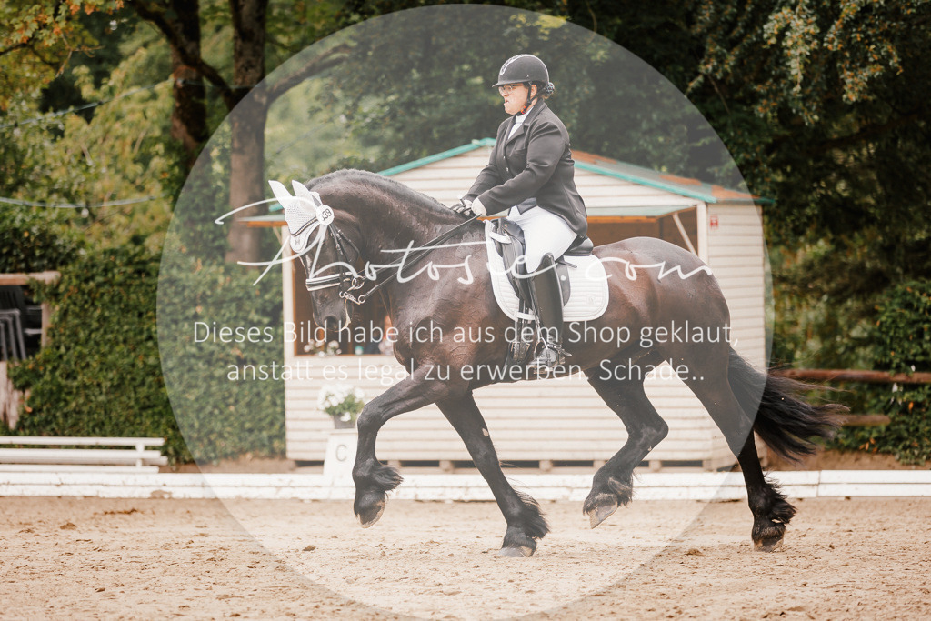 3I6A7756 | Stimmungsvolle Portraits und Reitsportfotografie im Ruhrgebiet und im Münsterland.

Pferdefotografie, Hundefotografie, Tierfotografie, Reportagen, Portraits von Tier und Mensch, Turnierfotografie in Bochum, Recklinghausen, Marl, Haltern am See, Dülmen.. - Realisiert mit Pictrs.com