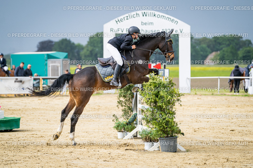 DSC04051 | Pferdegrafie