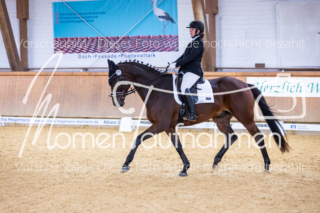 Sth-A-Dre-2St-006 | MomenTaufnahmen Pferdesportfotos