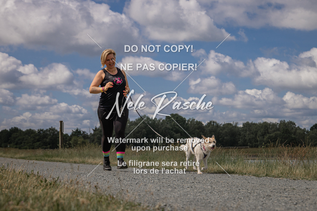 nelerasche_BuHu2026_SaCC1100-1200_33 | nelerasche