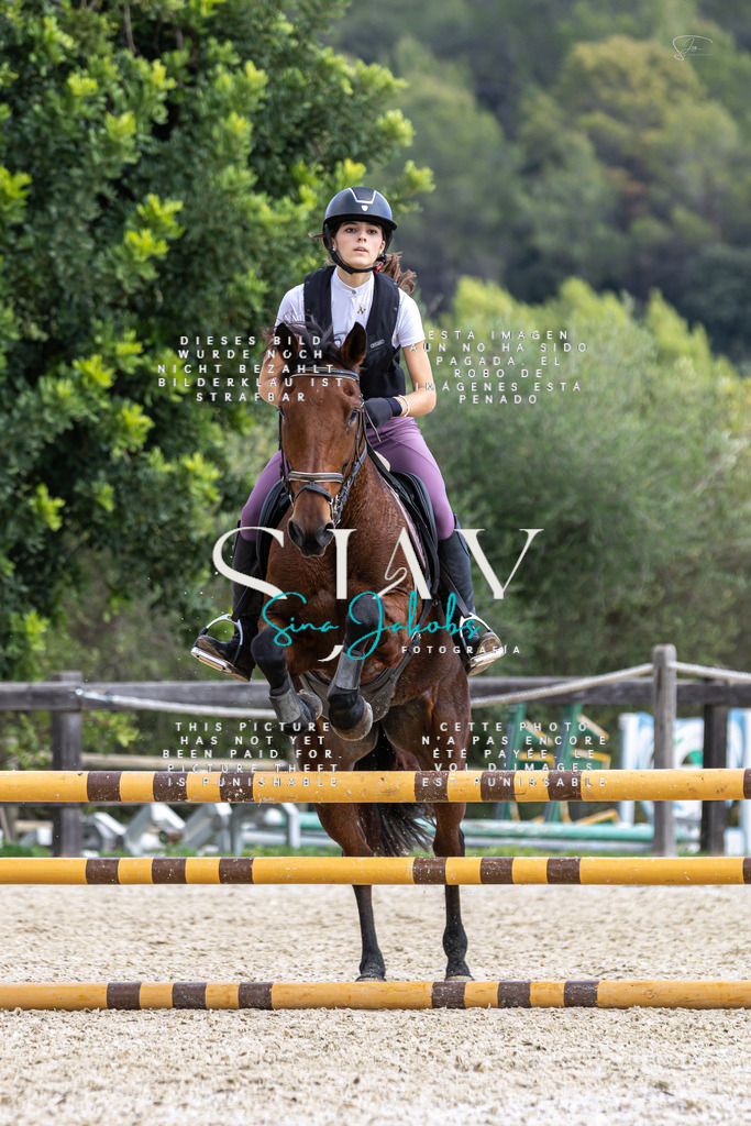 IMG_2654 | s-jay-photography - Realisiert mit Pictrs.com