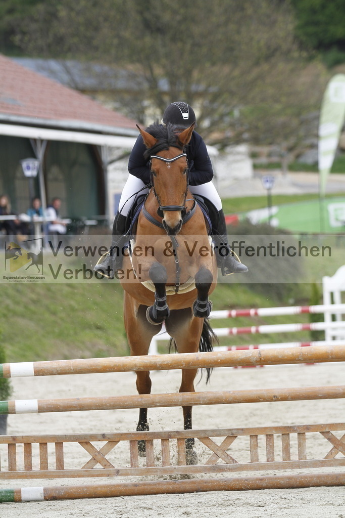 _MG_1007 | equestrian-live-com
