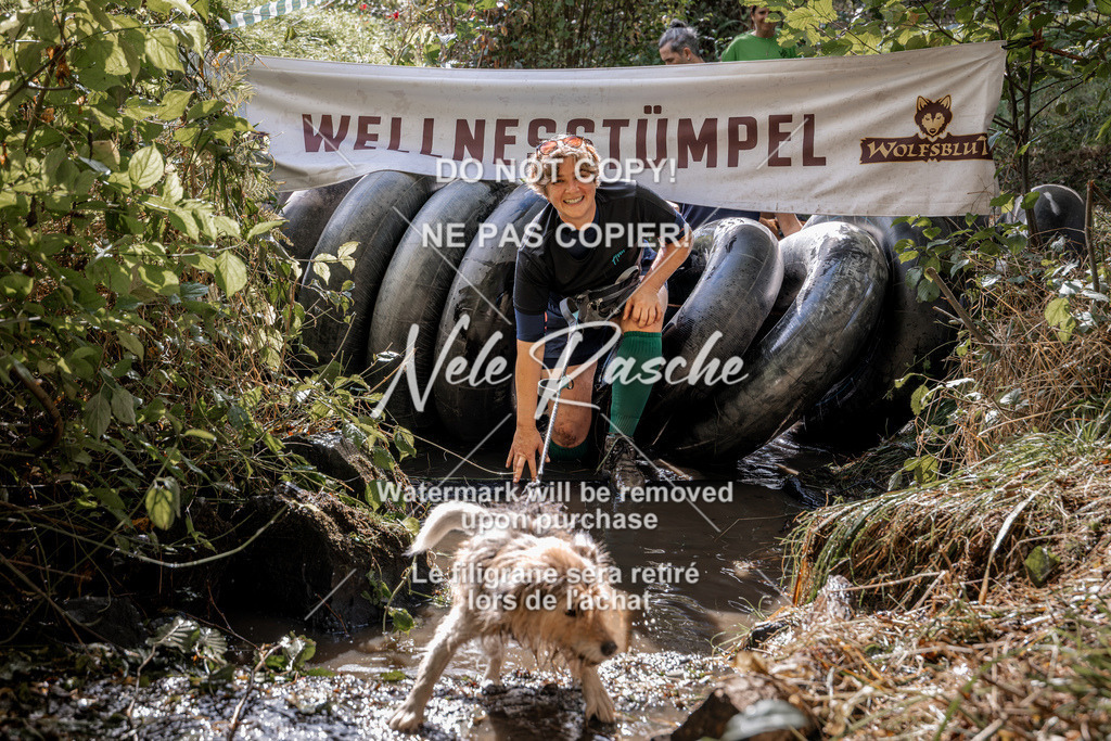 nelerasche_Hunsrück2026_Sa1400-1500_10 | nelerasche