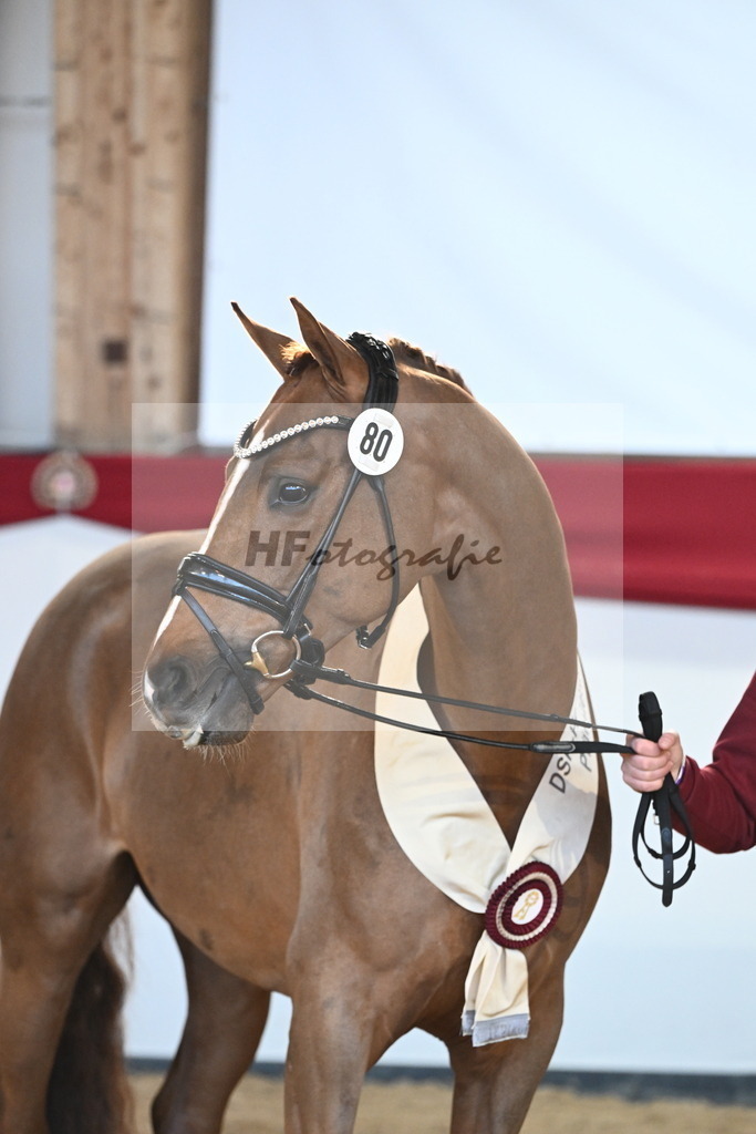 Kat.-Nr. 80 v. Vivino_Schepergerdes_2242898 | hf-fotografie - Realisiert mit Pictrs.com