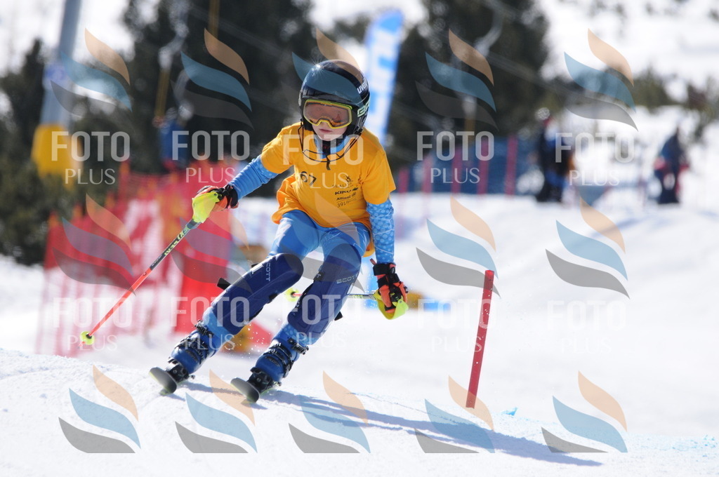 C8956 | holidayphoto