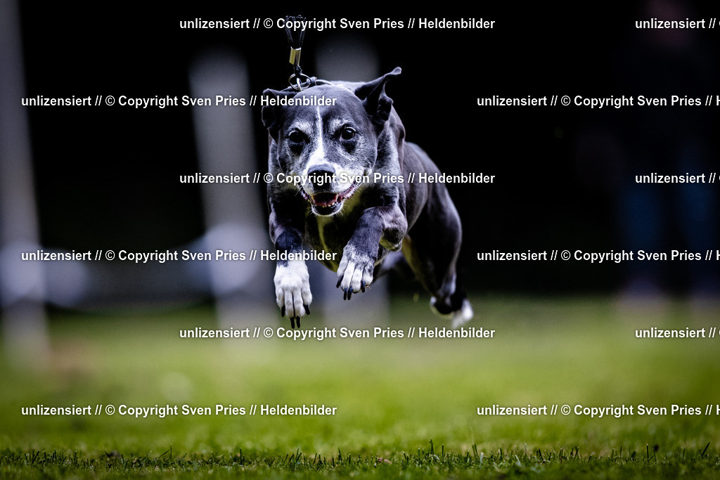 Sven Pries | 2025-10-03 - Hunderennen Obergrombach - Realisiert mit Pictrs.com