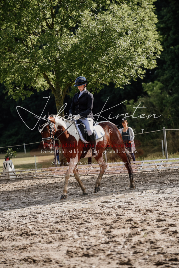 DSC_8817 | Pferde- und Turnierfotografie in Westsachsen. Pferdeportraits, Auftragszeichnungen und intuitive Kunst.