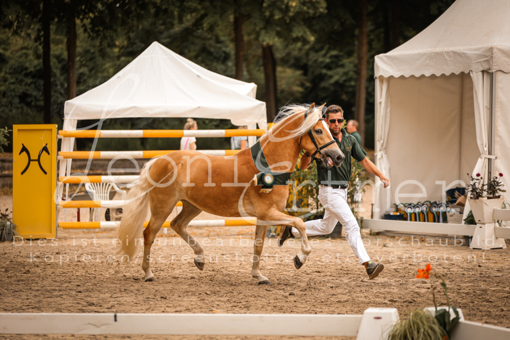 06.So00169 | Leoni Ertmer Photography - Realisiert mit Pictrs.com