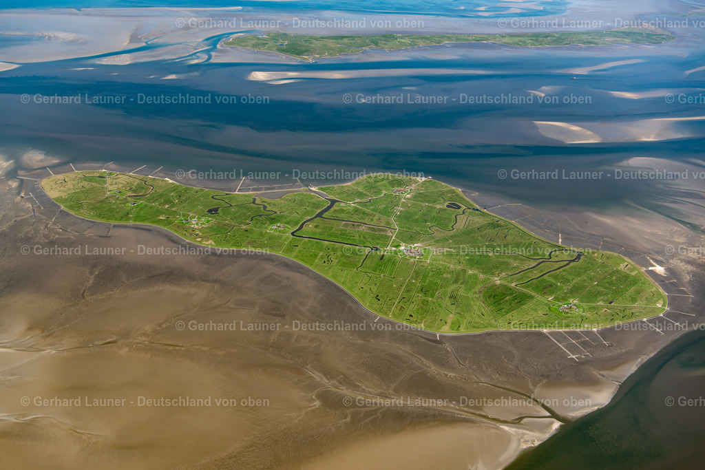 3801660 | Hallig Hooge, Nationalpark Schleswig-Holsteinisches Wattenmeer