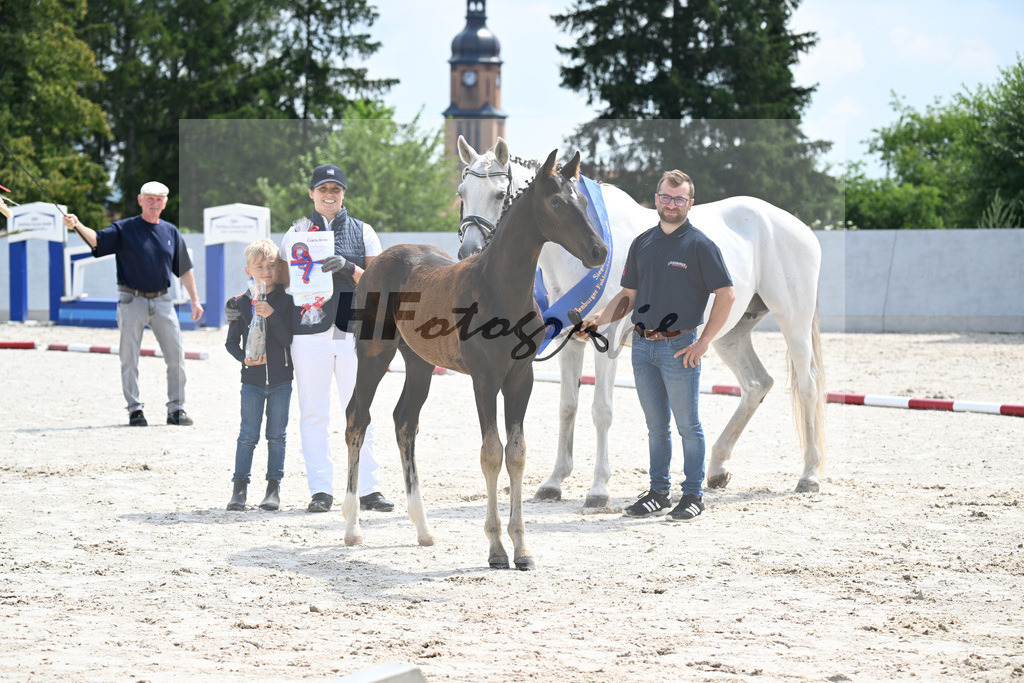 Kat-Nr. 304 Casco Blue PS x Gepsom_HF_Naehrig_21250471 | hf-fotografie - Realisiert mit Pictrs.com