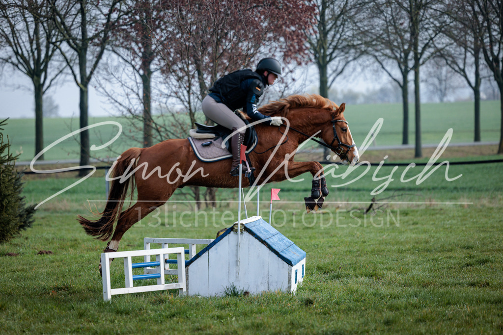 20260329-_3LI3407 | Tierfotografie Pferde, Hunde, Katzen, Haustiere.
Turnierfotografie Reitturniere, Reiten, Springreiten, Dressur in Hanau, dem Main-Kinzig-Kreis und dem Rhein-Main- Gebiet um Frankfurt