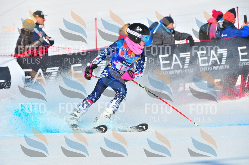 DSC_3825 | holidayphoto