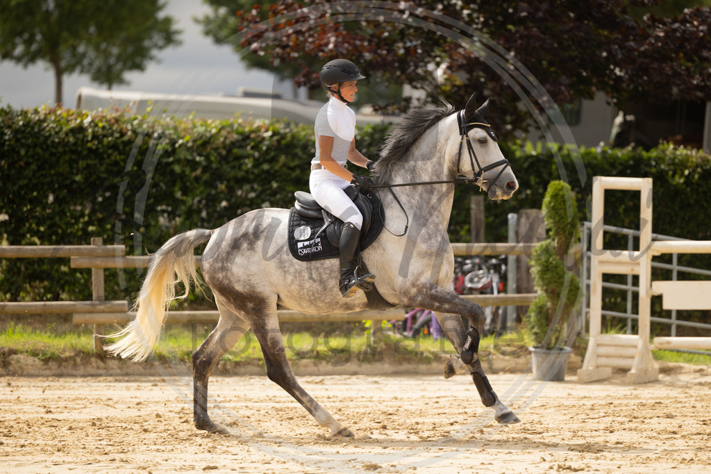 994A9408 | sabrinanicolaifotografie - Realisiert mit Pictrs.com