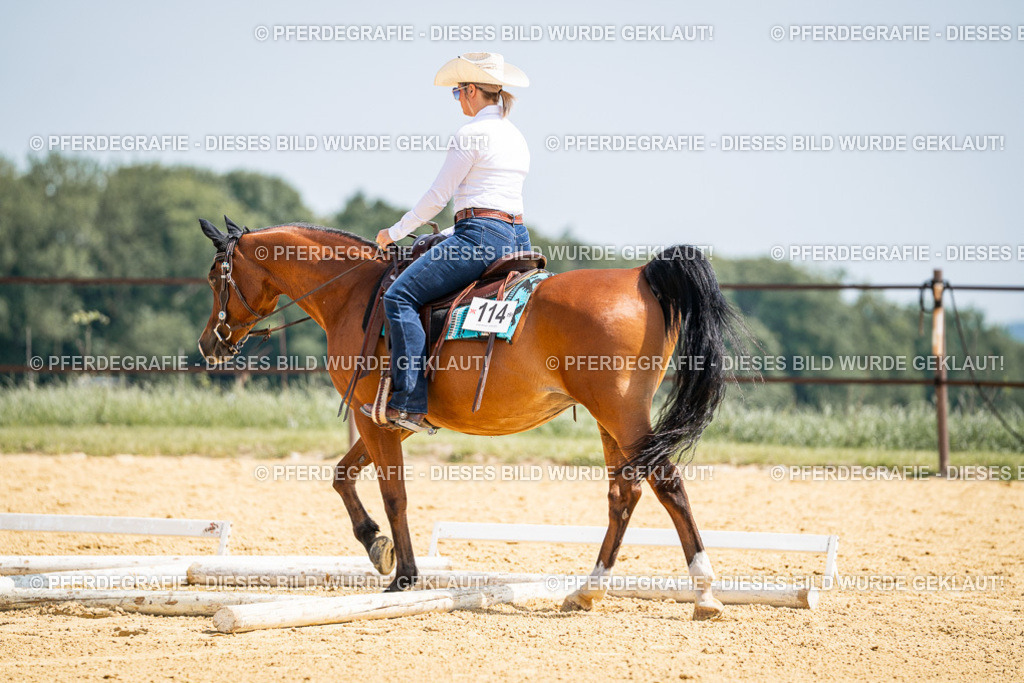 DSC00412 | Pferdegrafie