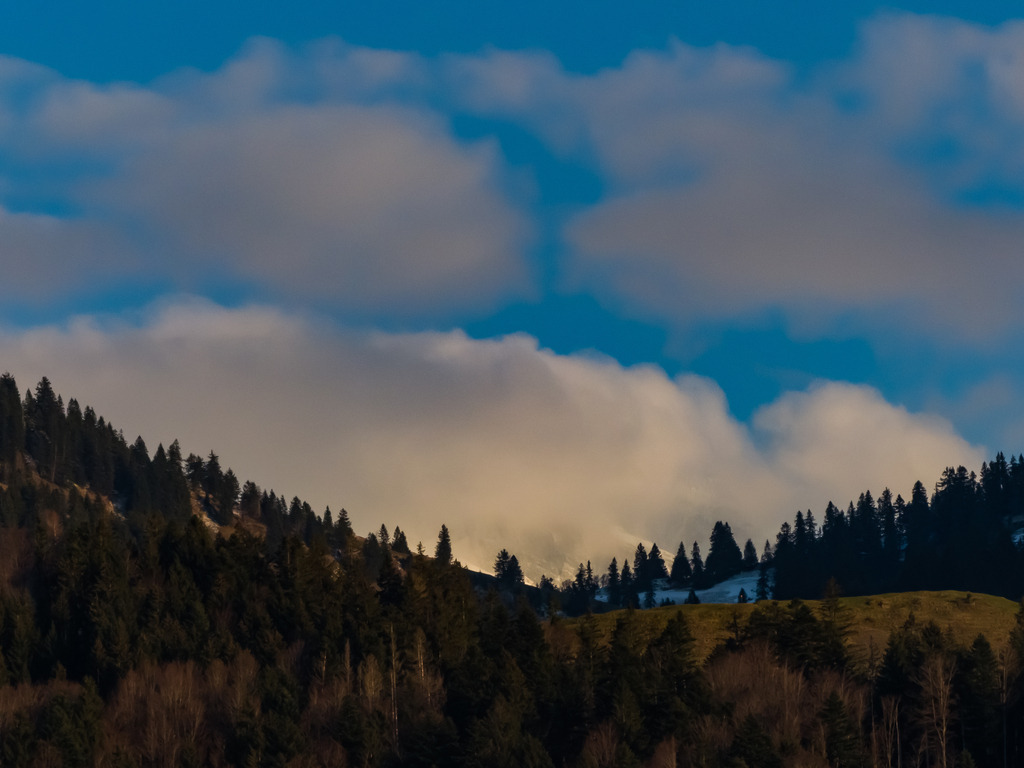 PSX_20230405_232848 | mtkfoto_ - Realisiert mit Pictrs.com