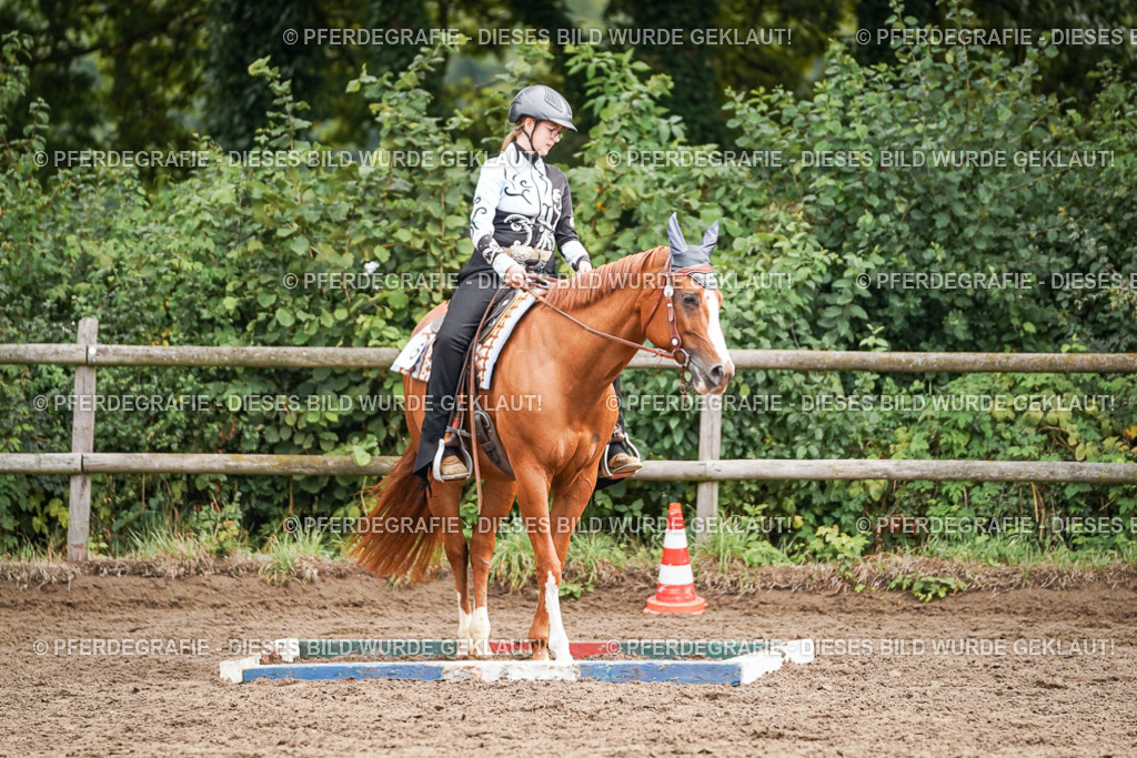 DSC04178 | Pferdegrafie