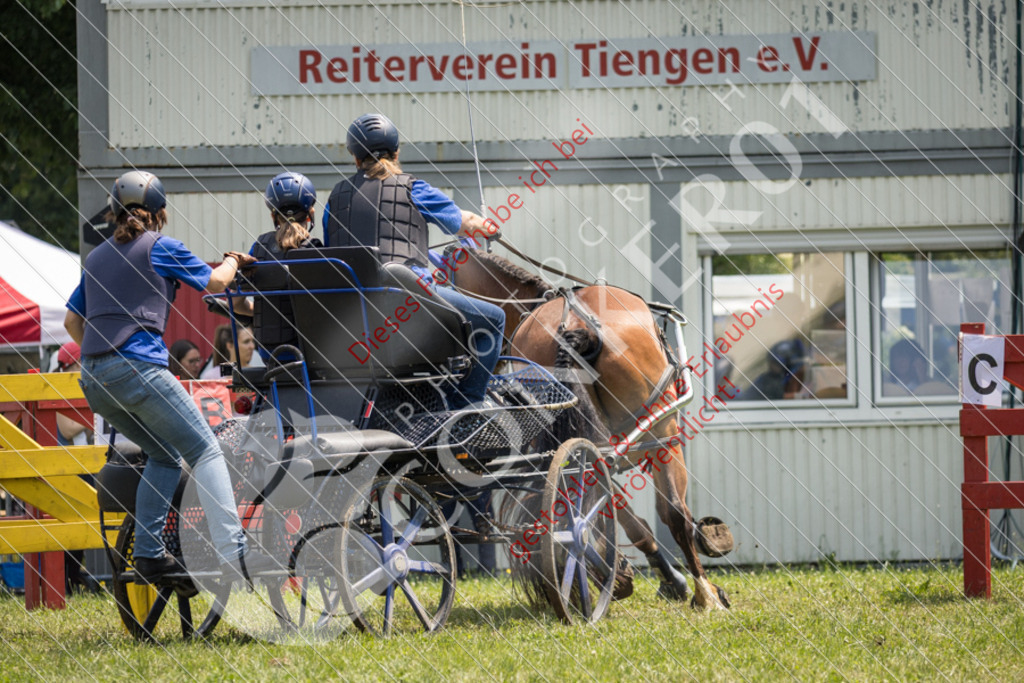 IMG_8649 | Sport-, Event- und Tierfotos in Profiqualität. Einfach auswählen, bestellen und herunterladen. Dein Moment – perfekt festgehalten.