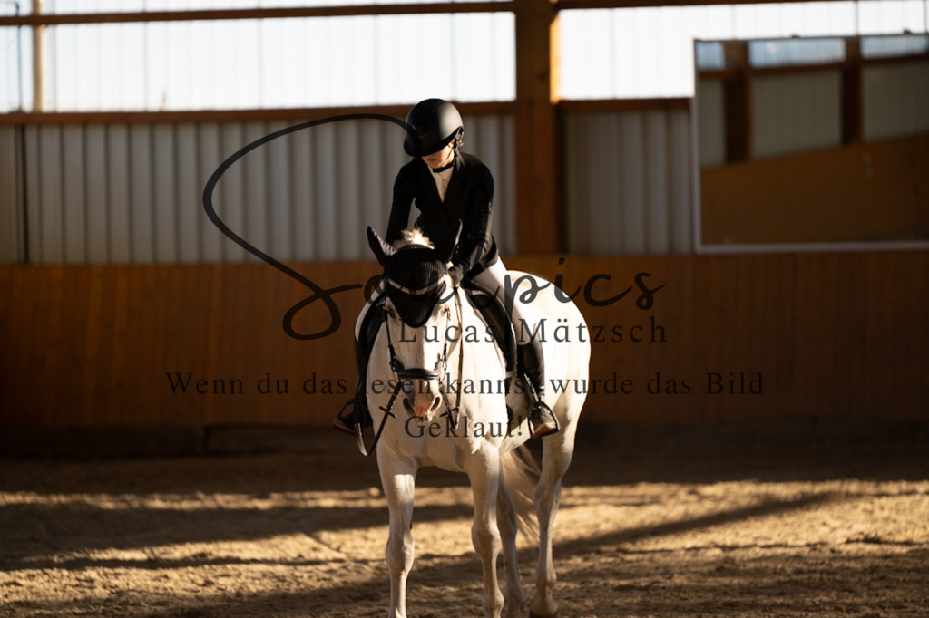 A7V01669 | Turnier/Reitfotograf