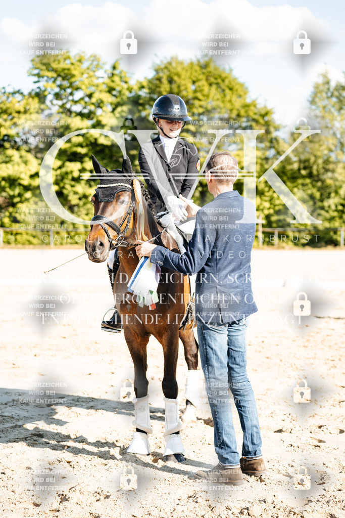 CK703572 | Turnierfotografie Pferdefotografie Trier Rheinland-Pfalz Pferdesport Reitsport Tierfotografie Sportfotografie Pferdevideo Pferdevideografie Equestrianvideography equestrianphotography  - Realisiert mit Pictrs.com
