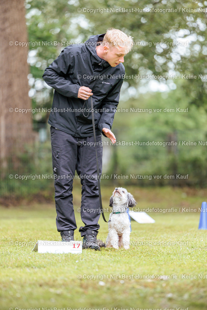 RO-Blumenthal-2026-Nickbest-Hundefotografie-4730 | Dein Hund! Dein Moment! Deine Erinnerungen! Hundefotografie in Bremen Blumenthal. Ich fange die besonderen Momente deines Vierbeiners ein – ob Indoor mit Blitzanlage oder in der freien Natur. Sicher dir dein Moment und dein Termin für eure Erinnerungen.
