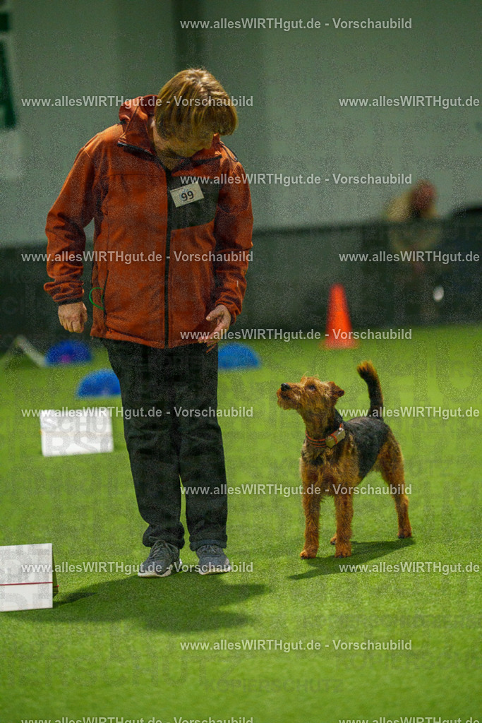 7R509212 | Professionelle Tierfotografie in Mönchengladbach von Daniel Wirth (allesWIRTHgut). Liebevolle & natürliche Bilder von Hunden & Katzen für unvergessliche Erinnerungen.