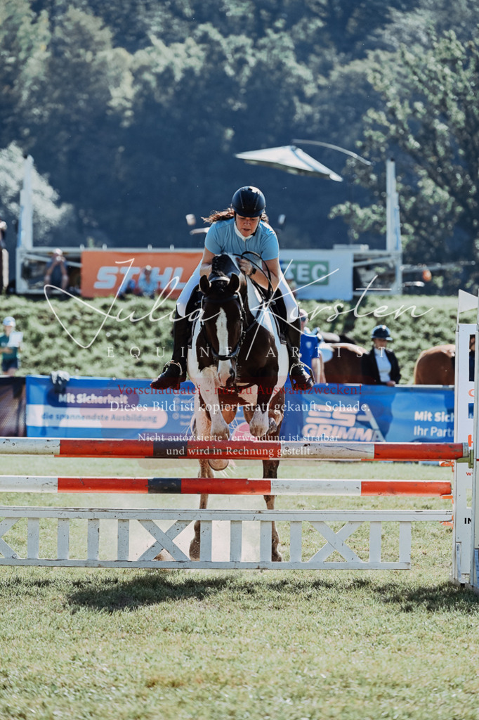 DSC_5469 | Pferde- und Turnierfotografie in Westsachsen. Pferdeportraits, Auftragszeichnungen und intuitive Kunst.
