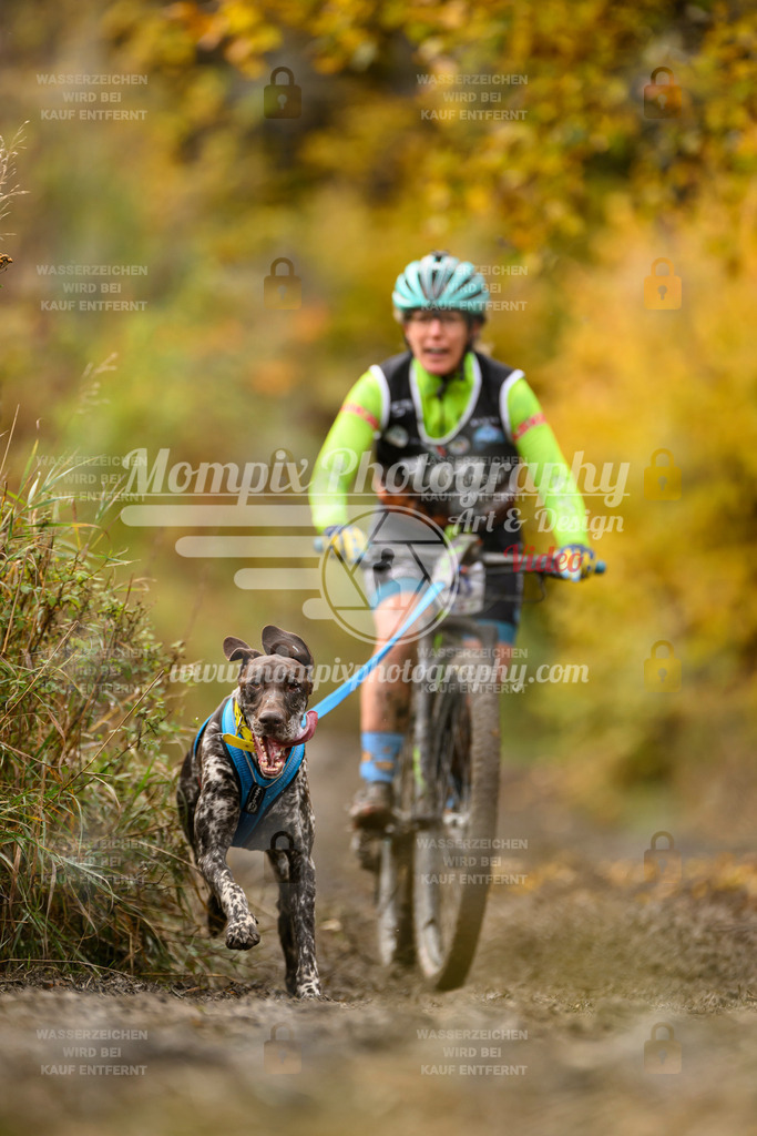 MompixPhotography_ICF_WC_2024_SA_Bike_-148 | PayLife