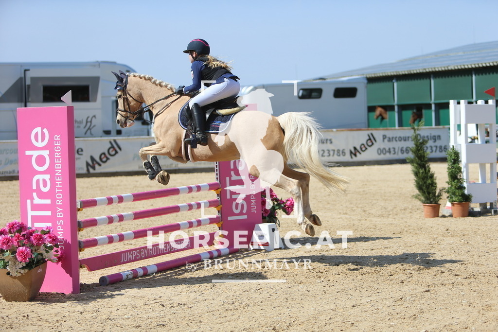 DL2Q3523 | Willkommen bei Brunnmayr - Design & Fotografie – Ihrem Spezialisten für Reitturniere und Pferdeveranstaltungen in Oberösterreich, Salzburg und Bayern! Seit über 17 Jahren sind wir leidenschaftlich dabei.