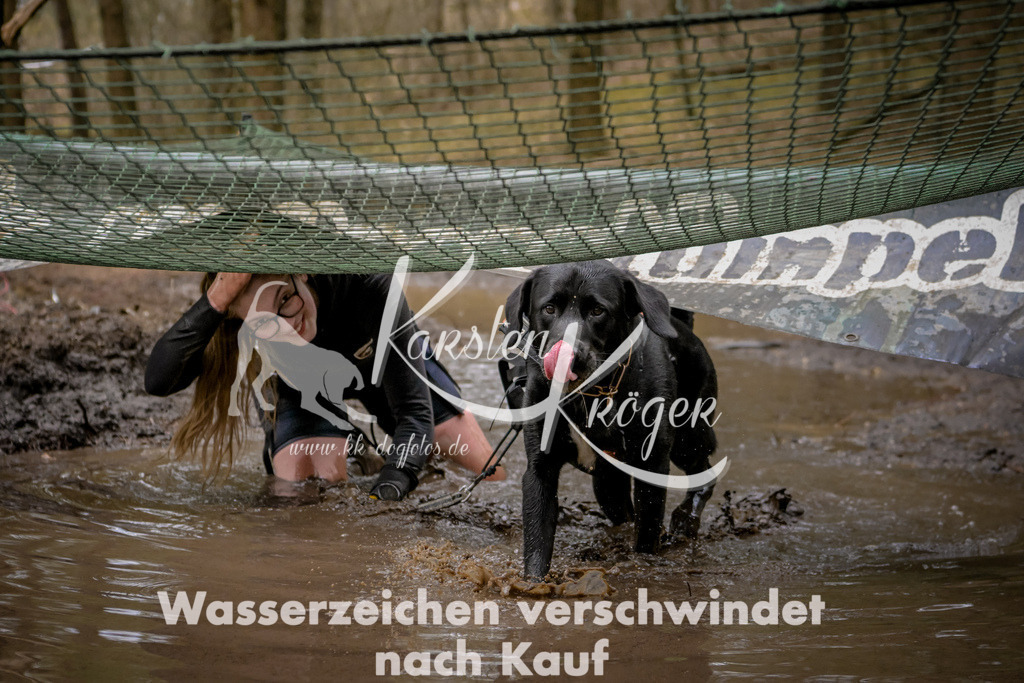 1056_ZZ92717 | kk-dogfotos