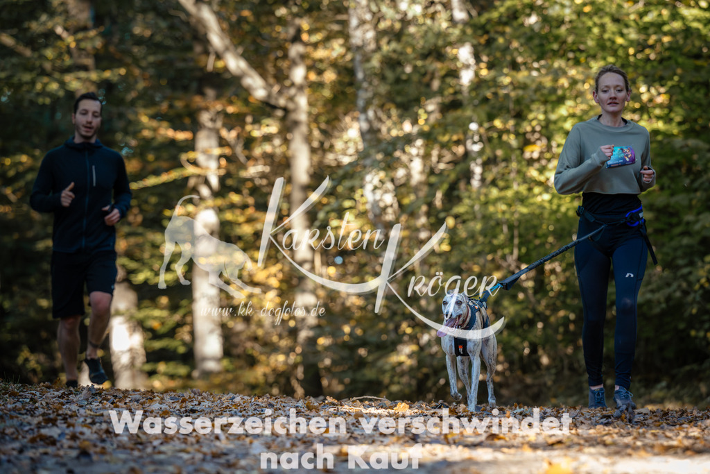 1029_ZZ90032 | kk-dogfotos