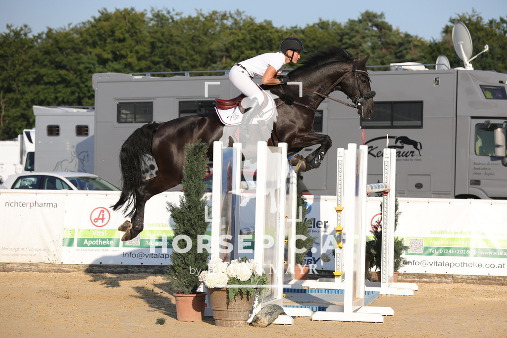 0P6A2364 | Willkommen bei Brunnmayr - Design & Fotografie – Ihrem Spezialisten für Reitturniere und Pferdeveranstaltungen in Oberösterreich, Salzburg und Bayern! Seit über 17 Jahren sind wir leidenschaftlich dabei.