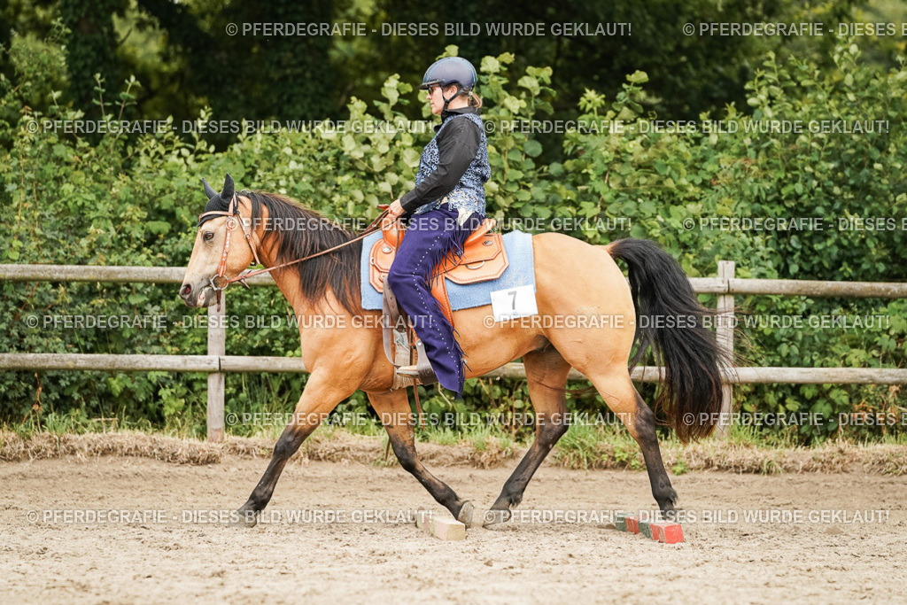 DSC08637 | Pferdegrafie