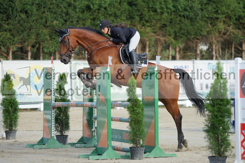 DSC01498 | equestrian-live-com