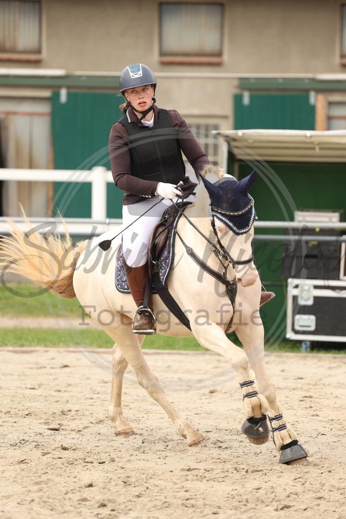 994A8912 | sabrinanicolaifotografie - Realisiert mit Pictrs.com