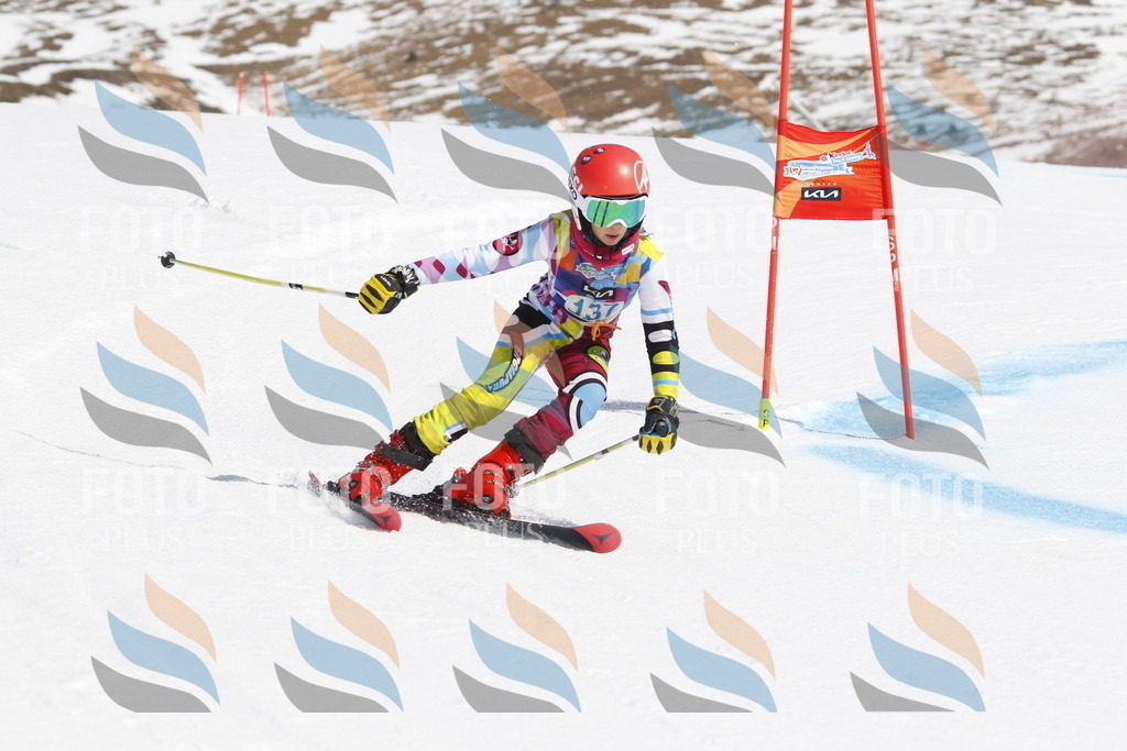 _U3G0997 | holidayphoto