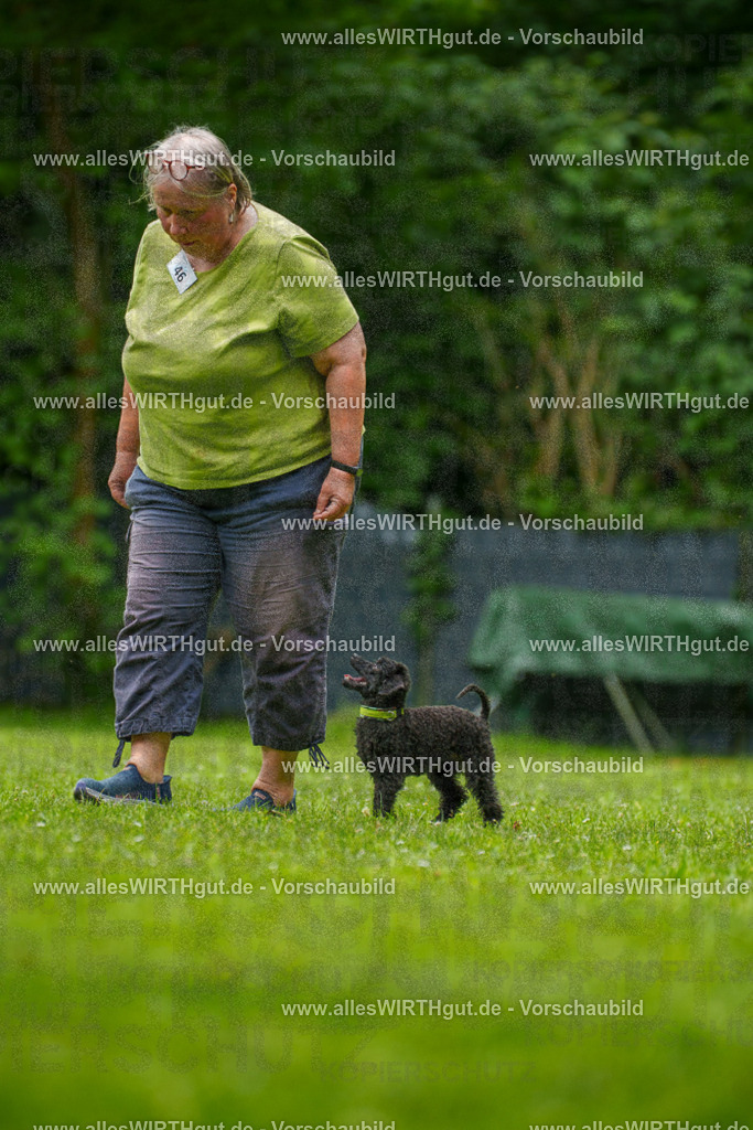 @allesWIRTHgut_Tierfotografie - www.allesWIRTHgut.de - 7R500469 | Professionelle Tierfotografie in Mönchengladbach von Daniel Wirth (allesWIRTHgut). Liebevolle & natürliche Bilder von Hunden & Katzen für unvergessliche Erinnerungen.