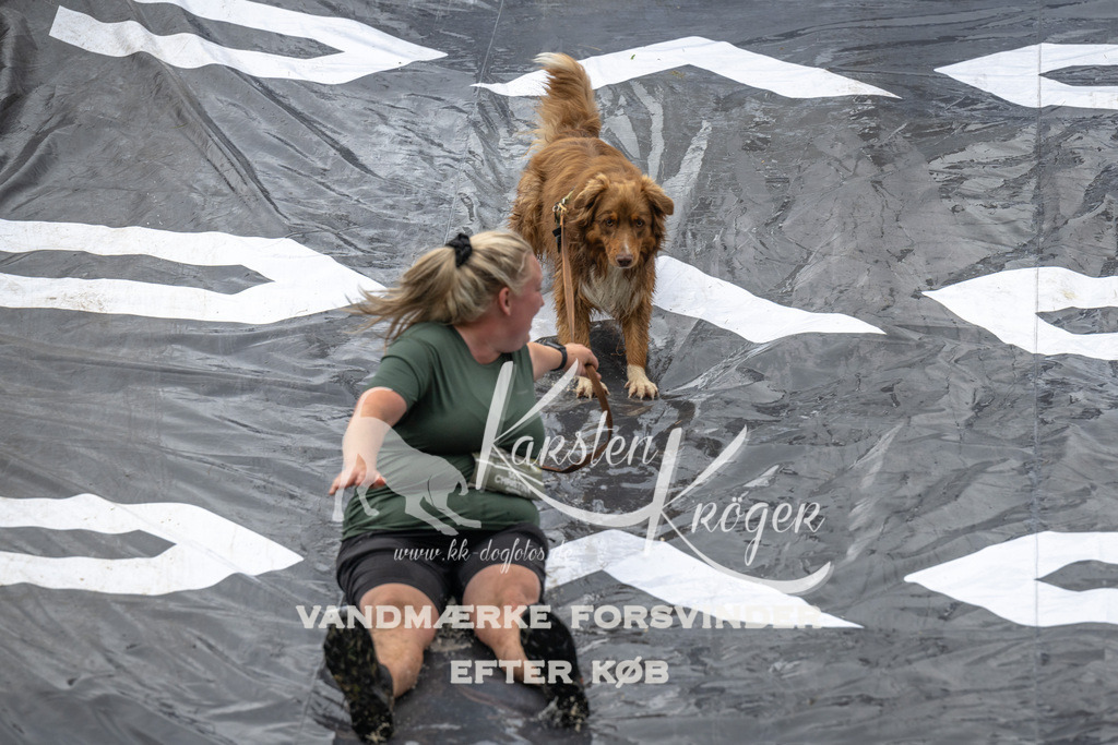 1558_ZZ91789 | kk-dogfotos