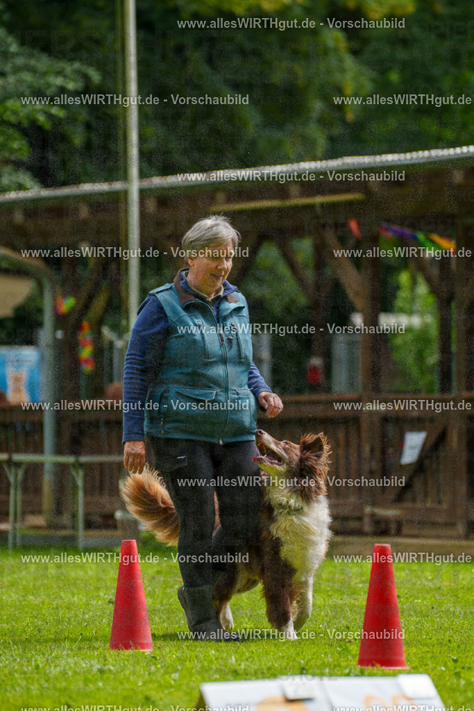 @allesWIRTHgut_Tierfotografie - www.allesWIRTHgut.de - 101209-7R508160 | Professionelle Tierfotografie in Mönchengladbach von Daniel Wirth (allesWIRTHgut). Liebevolle & natürliche Bilder von Hunden & Katzen für unvergessliche Erinnerungen.