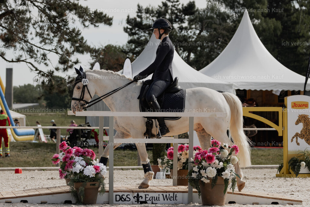 WE_ST_Stoib_341_PI2025_888 | Pferd International München 2025