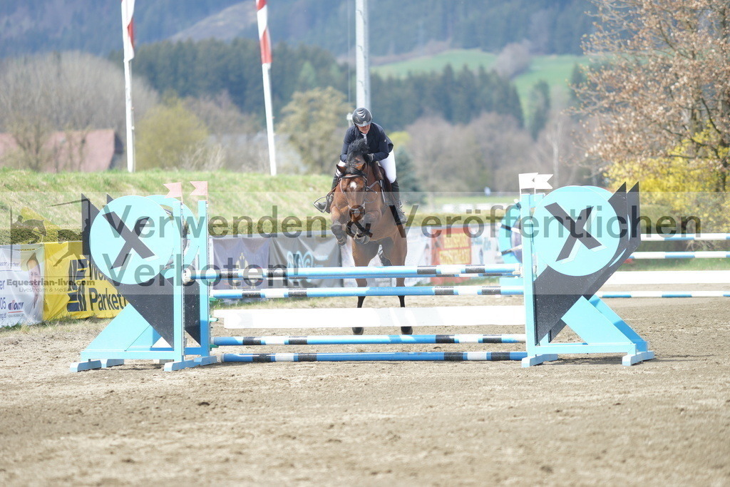 DSC04244 | equestrian-live-com