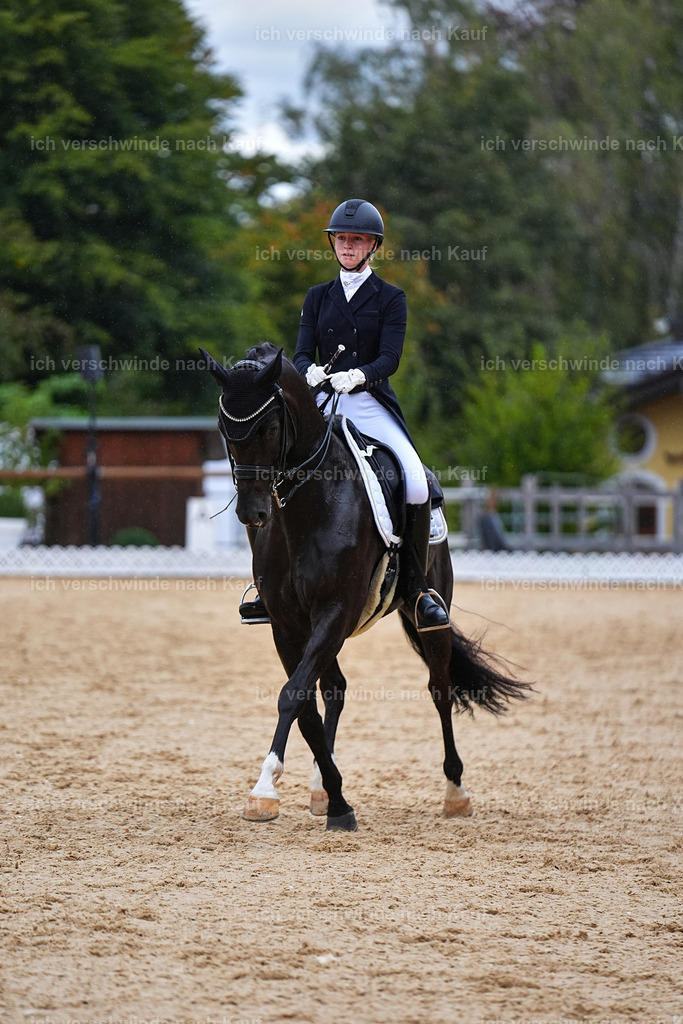 8_1-212-Klasse S_  -Marixx-4270 | working equitationturnier fotograf videograf stoibphotography marixx film working equitation deutschland reitsport turnierfotografie eventfotografie equestrian events