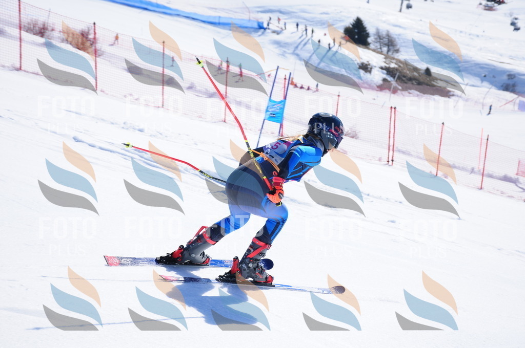 DSC_3649 | holidayphoto