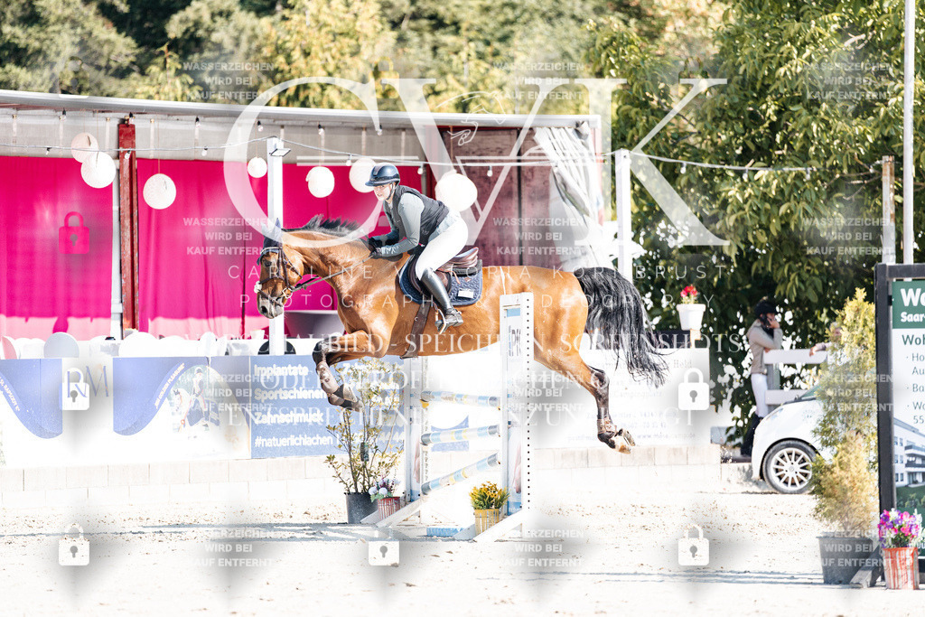 CK902316 | Turnierfotografie Pferdefotografie Trier Rheinland-Pfalz Pferdesport Reitsport Tierfotografie Sportfotografie Pferdevideo Pferdevideografie Equestrianvideography equestrianphotography  - Realisiert mit Pictrs.com